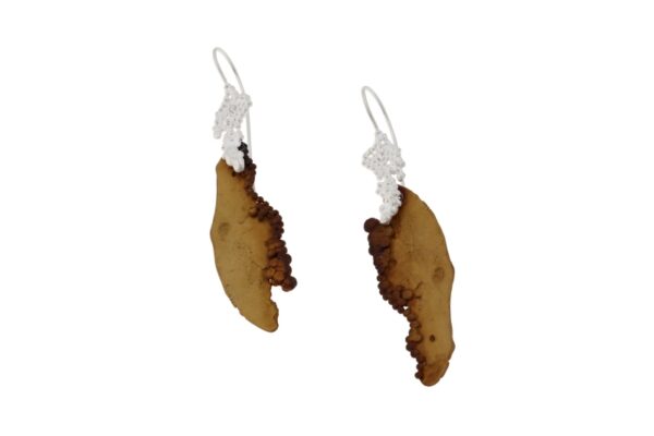 Decoecho